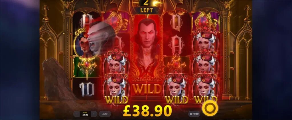 Bet365 Gaming Nz Account Verification Guide