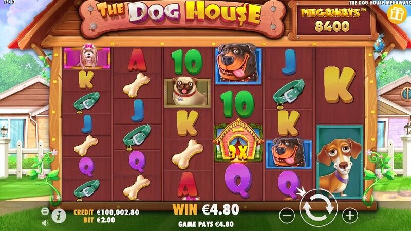 Bet365 Gaming Nz Mobile App Features
